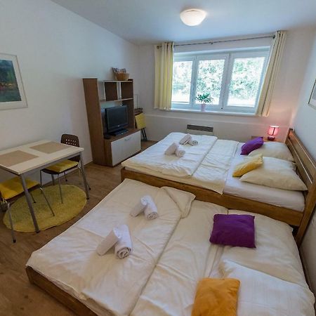 Apartman Lipno 20 Lipno nad Vltavou Eksteriør billede